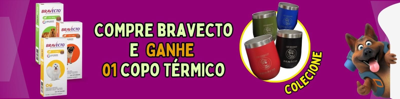 Homepage meio 2 - bravenco