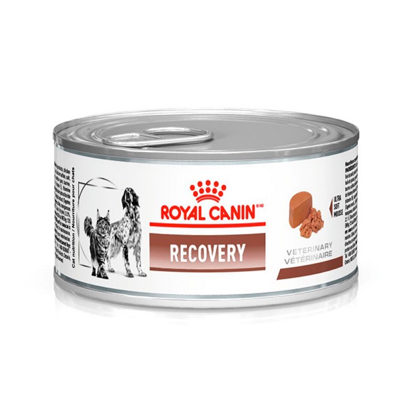 ROYAL CANIN LATA VETERINARY DIET RECOVERY WET PARA CÃES E GATOS 195 G